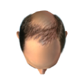 Top Image